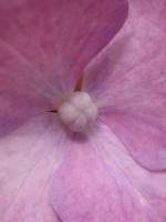 /album/fotogallerij/a2012-07-28-13-43-22-0291-jpg/